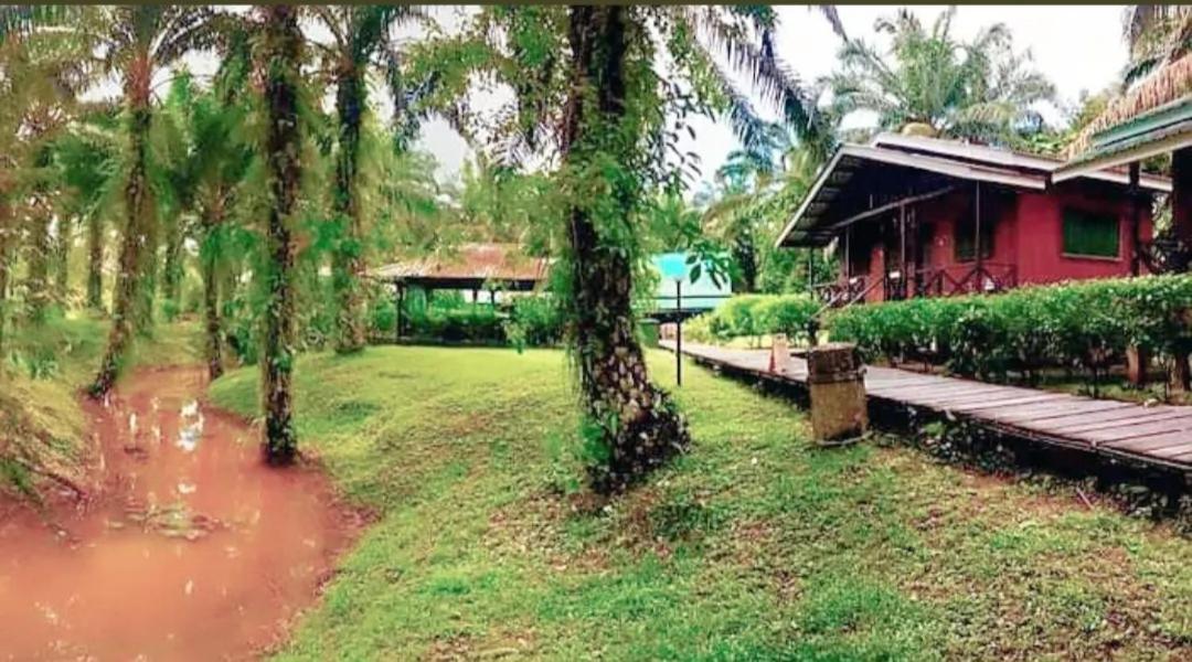 Sukau Backpackers B&B Bagian luar foto